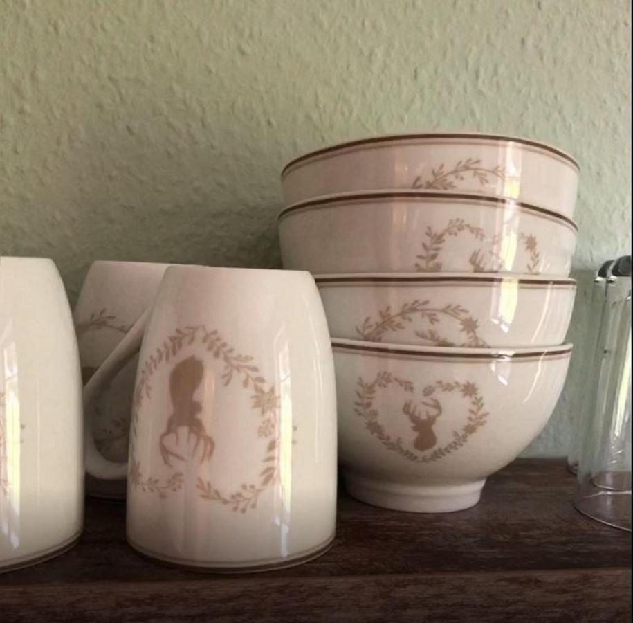 Villa Hainberg Rauschenbach エクステリア 写真